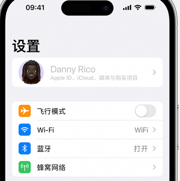 潘集appleID维修服务iPhone设置中Apple ID显示为灰色无法使用 