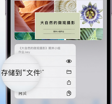 潘集apple维修中心分享iPhone文件应用中存储和找到下载文件