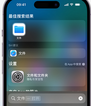 潘集apple维修中心分享iPhone文件应用中存储和找到下载文件 