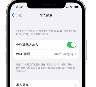 潘集apple服务站点分享iPhone上个人热点丢失了怎么办 