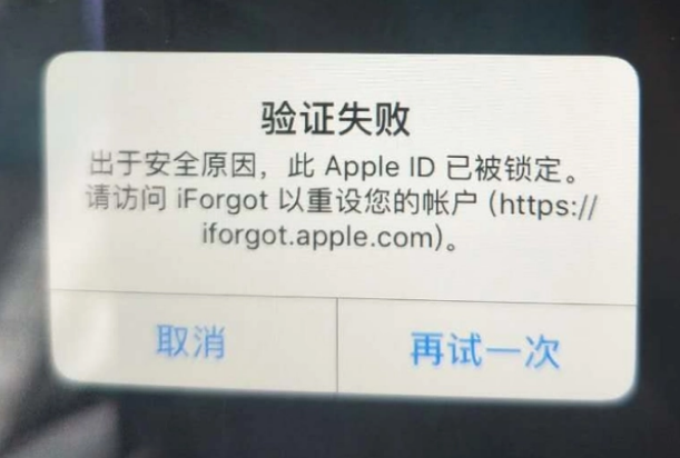 潘集iPhone维修分享iPhone上正常登录或使用AppleID怎么办 