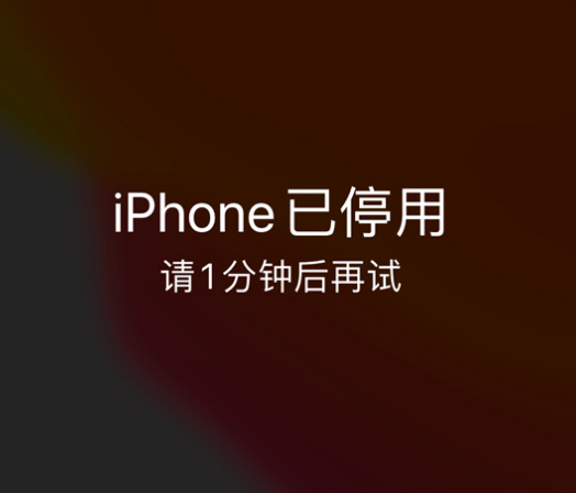 潘集苹果手机维修分享:iPhone 显示“不可用”或“已停用”怎么办？还能保留数据吗？ 