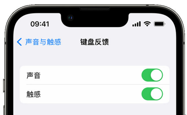 潘集苹果手机维修分享iPhone 14触感键盘使用方法 