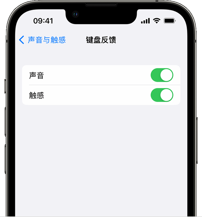 潘集苹果14维修店分享如何在 iPhone 14 机型中使用触感键盘 