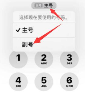 潘集苹果14维修店分享iPhone 14 Pro Max使用副卡打电话的方法 