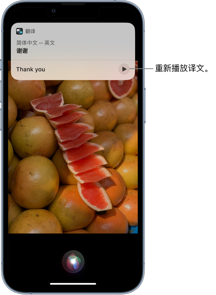 潘集苹果14维修分享 iPhone 14 机型中使用 Siri：了解 Siri 能帮你做什么 