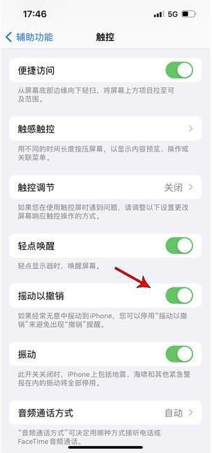 潘集苹果手机维修分享iPhone手机如何设置摇一摇删除文字 